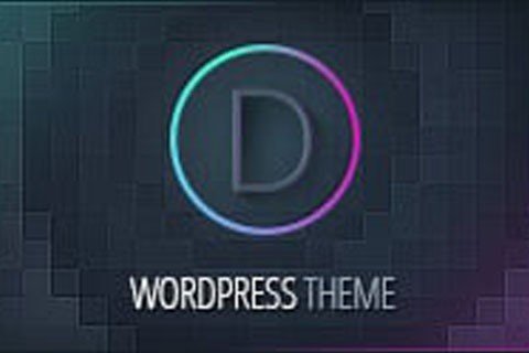 Divi Theme